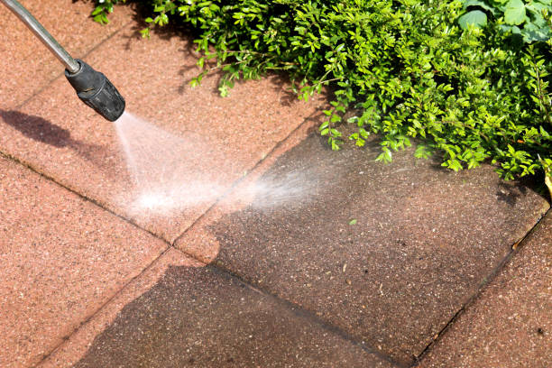 Best Roof Power Washing Services  in Roebuck, SC